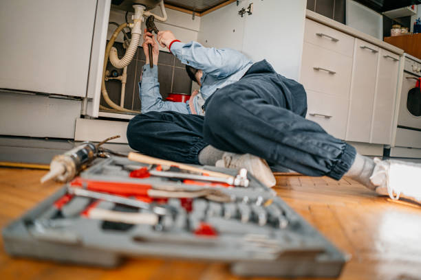 Best Clogged Drain Plumber  in Monee, IL