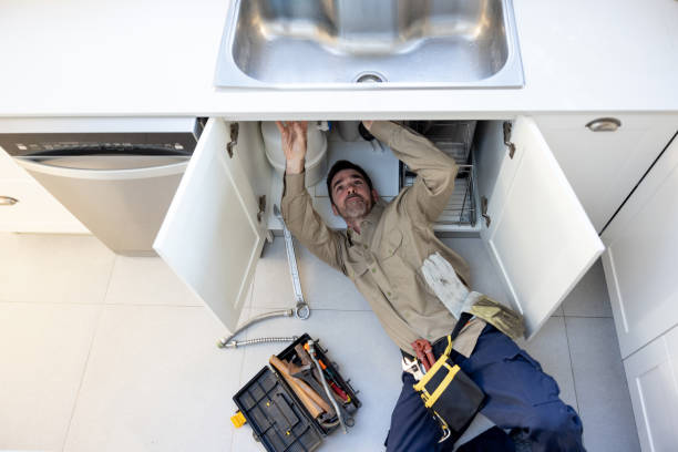Best Sprinkler Systems  in Monee, IL