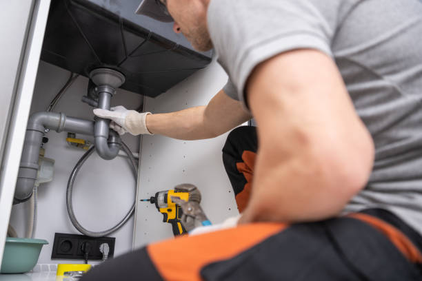 Best Local Plumber Services  in Monee, IL