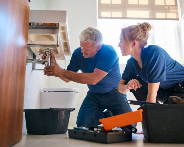 Best Plumbing Services Near Me  in Monee, IL